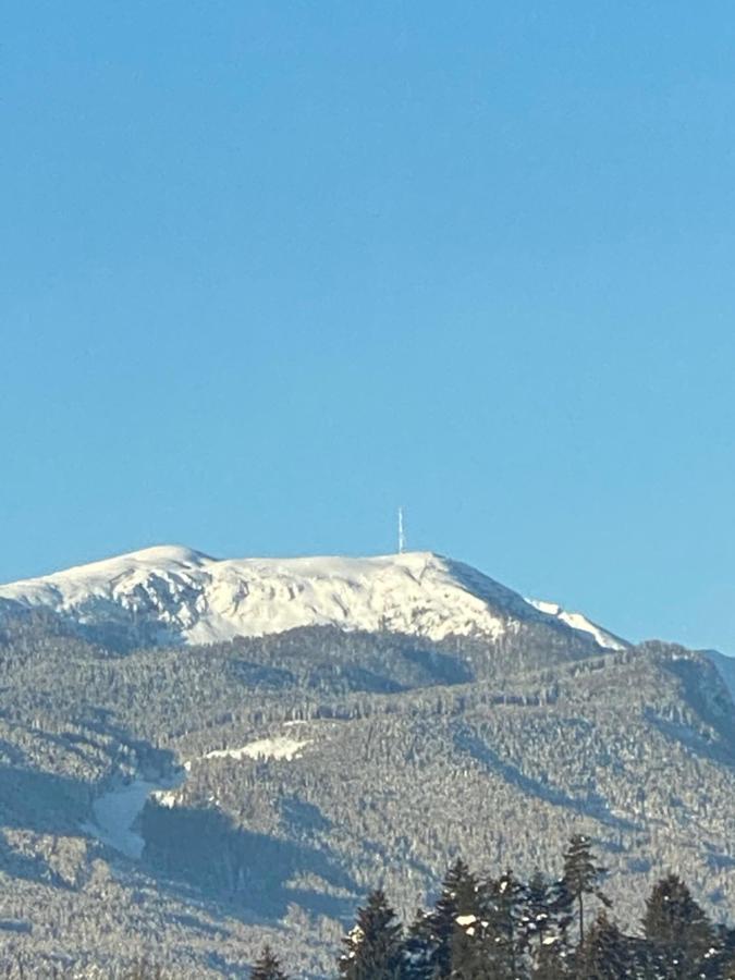 Villa Petrabunt Villach Kültér fotó